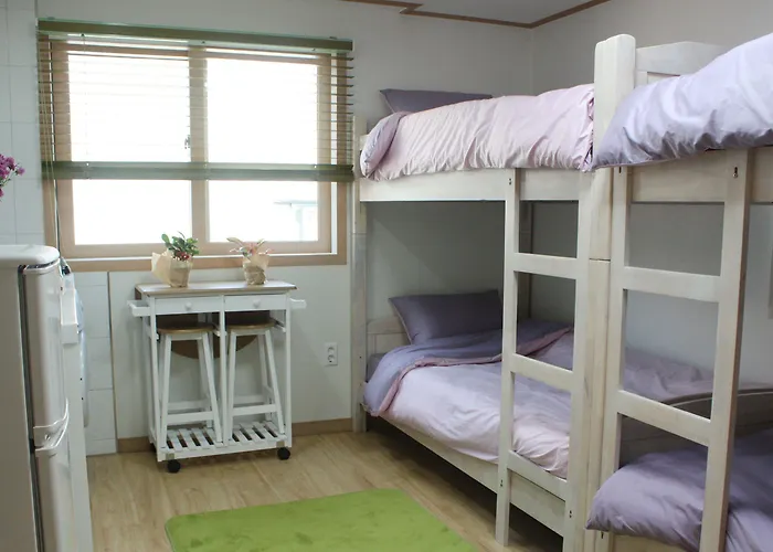 Auberge de jeunesse Twin Rabbit